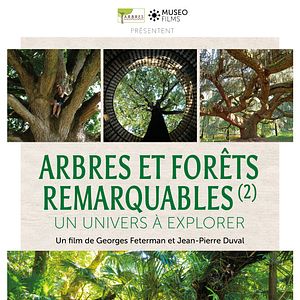 Photo Arbres et forêts Remarquables, un univers à explorer
