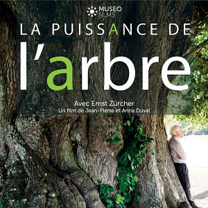 Photo La Puissance de l’arbre avec Ernst Zürcher