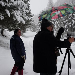 Photo La Puissance de l’arbre avec Ernst Zürcher