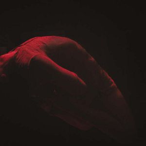 Photo La Proie d'une ombre