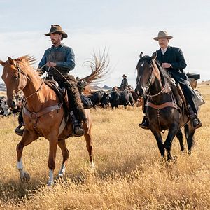 Photo Benedict Cumberbatch