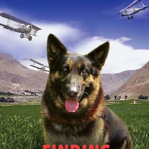 Photo Rintintin