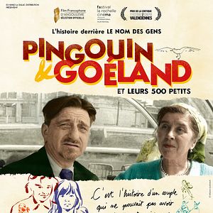 Photo Pingouin & Goéland et leurs 500 petits