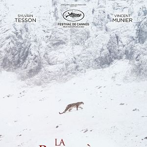 Photo La Panthère des neiges