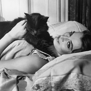 Photo Jane Fonda