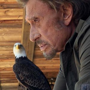 Photo Johnny Hallyday