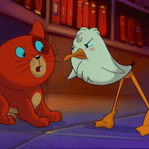 Photo La Mouette et le chat