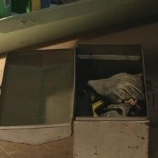 Photo Tout le monde déteste Chris