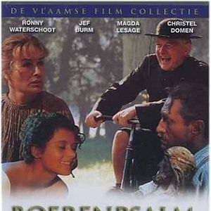 Photo Boerenpsalm