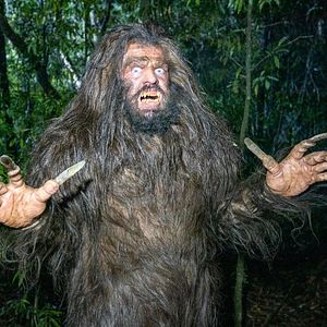 Photo Wellington Paranormal