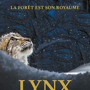 Photo Lynx
