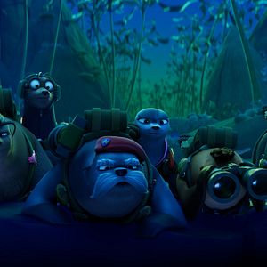 Photo Seal Team : Une équipe de phoques !