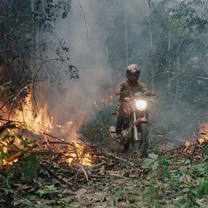Photo La forêt amazonienne : notre terre