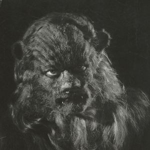 Photo La Belle et la bête