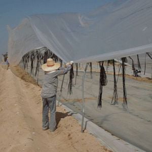 Photo La La plaine de Sodome