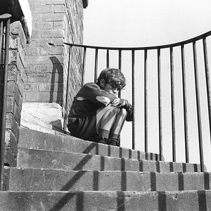 Photo Stephen Archibald