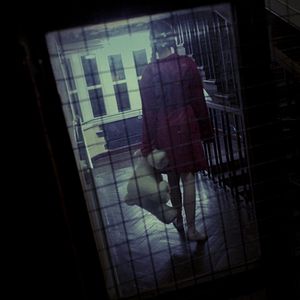 Photo The Amityville Asylum