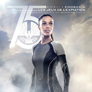 Photo Hunger Games - L'embrasement