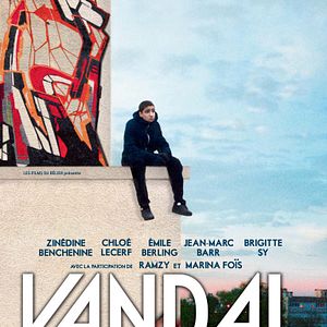 Photo Vandal