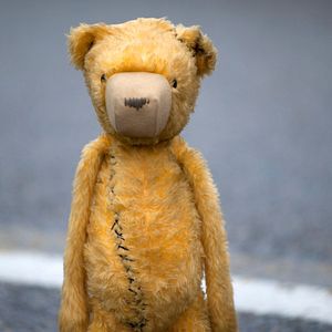 Photo Animals