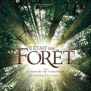 Photo Il était une forêt