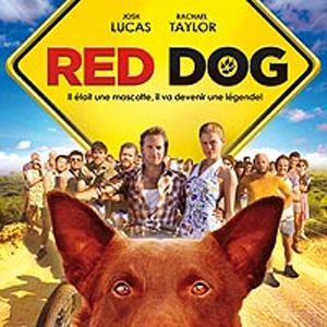Photo Red Dog
