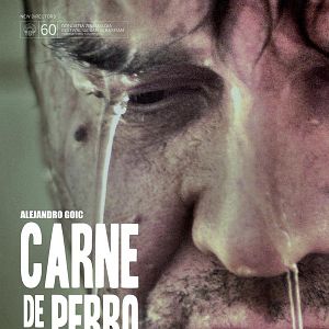 Photo Carne de perro