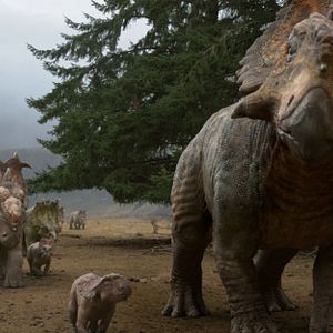 Photo Sur la terre des dinosaures, le film 3D