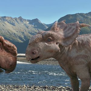 Photo Sur la terre des dinosaures, le film 3D
