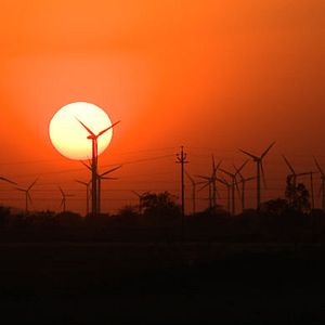 Photo The Carbon Rush