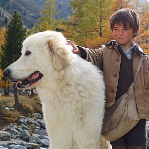 Photo Félix Bossuet