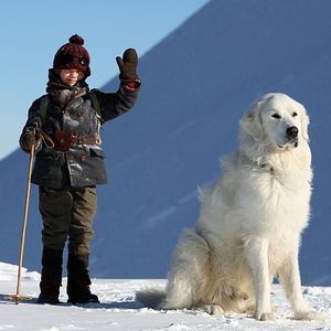 Photo Félix Bossuet
