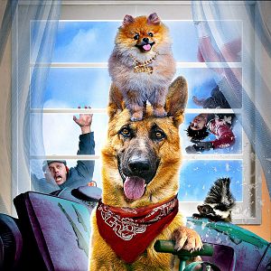 Photo Step Dogs