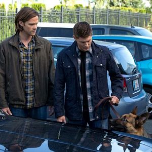 Photo Jared Padalecki
