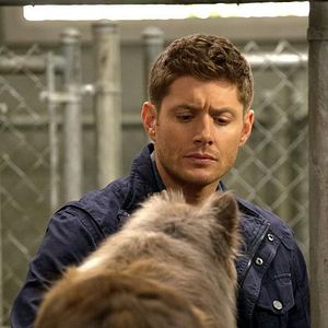 Photo Jensen Ackles