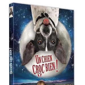 Photo Un chien croc bien