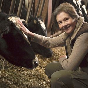 Photo Le Bal des secrets