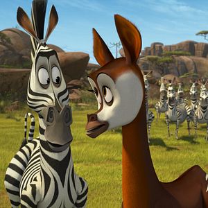 Photo Madagascar en folie