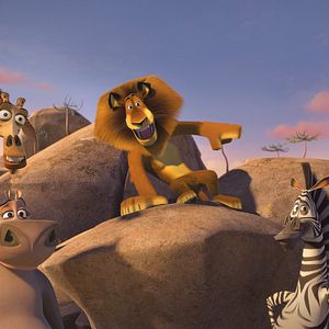 Photo Madagascar en folie