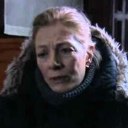 Photo The Fever