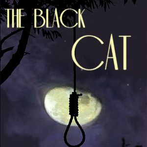 Photo Le chat noir