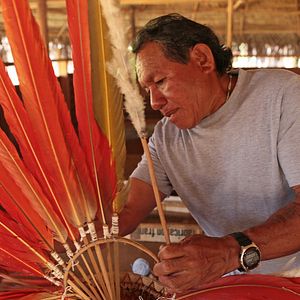 Photo Amazonia, les cueilleurs de mémoires