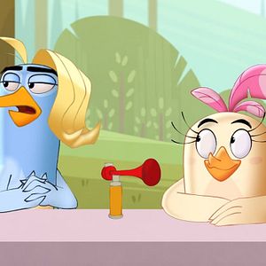 Photo Angry Birds : Un été déjanté