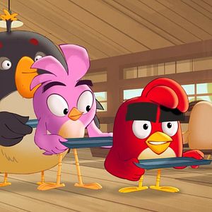 Photo Angry Birds : Un été déjanté