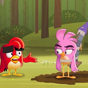 Photo Angry Birds : Un été déjanté