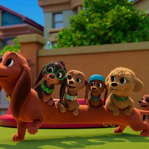 Photo Bretzel et les bébés chiens