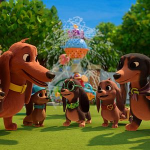 Photo Bretzel et les bébés chiens