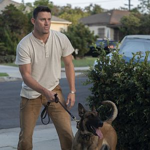 Photo Dog