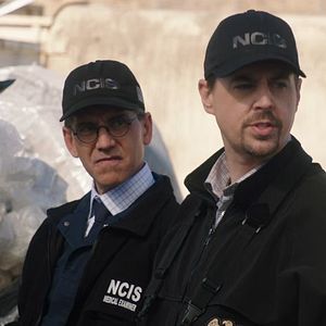 Photo NCIS : Enquêtes spéciales