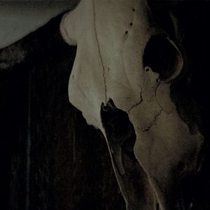 Photo The Dark and the Wicked